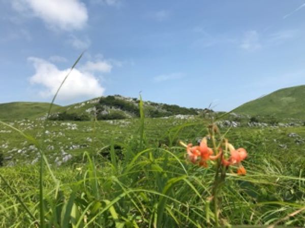 rblog-20180819215502-03.jpg