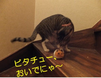 20121026_6.jpg