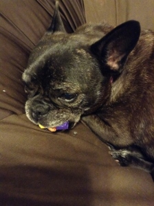 IMG_0887 (224x300).jpg