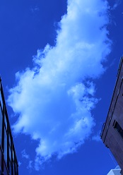IMG_6973-14.jpg