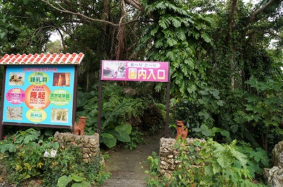 DSC03205.jpg