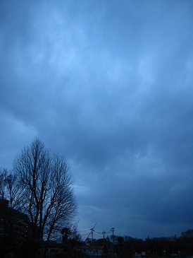 IMG_0541.JPG