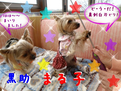 まる子.JPG