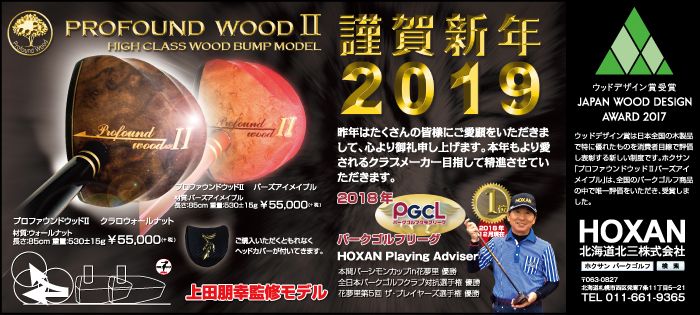 枚数限定 HOXAN ホクサン パークゴルフクラブ PROFOUND WOODⅢ - 通販