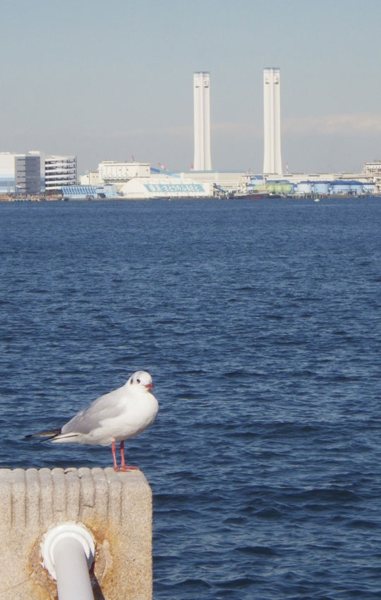 山下公園20130225-4.jpg