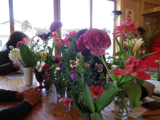 IMGP0927.jpg