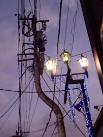 DSCN1929-15.JPG