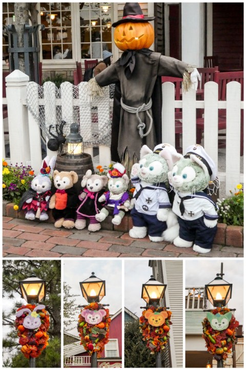 CollageMaker_20171004_193100907.jpg