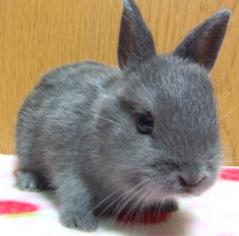 BBbaby2B6-10-2012.JPG