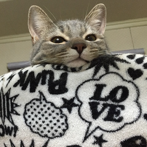 2016-01-28 21.25.01.jpg