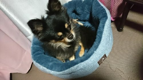 rblog-20171112141003-01.jpg