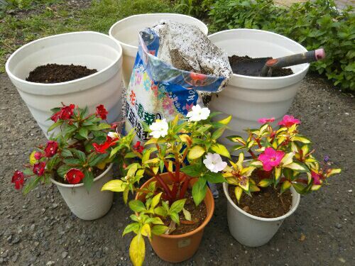 rblog-20170627184121-01.jpg