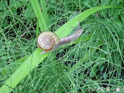 20160627 満韓峰10