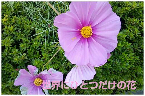 rblog-20161022091427-00.jpg