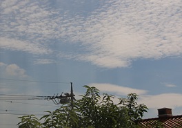 IMG_7782-20.jpg
