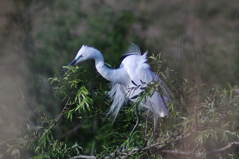 IMG_9701 (800x533).jpg