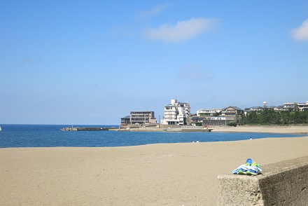 IMG_1482.jpg