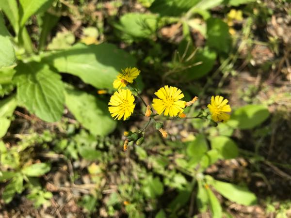 rblog-20180430174711-07.jpg