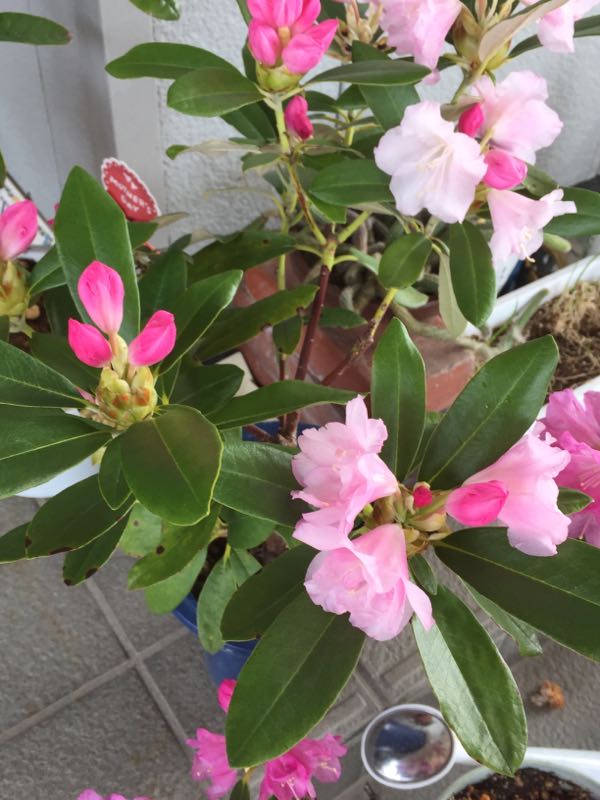 rblog-20170504002659-02.jpg