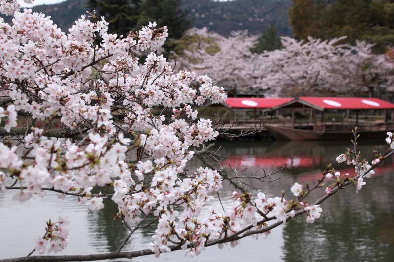 大沢池_004.jpg