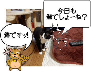 P6110035.png