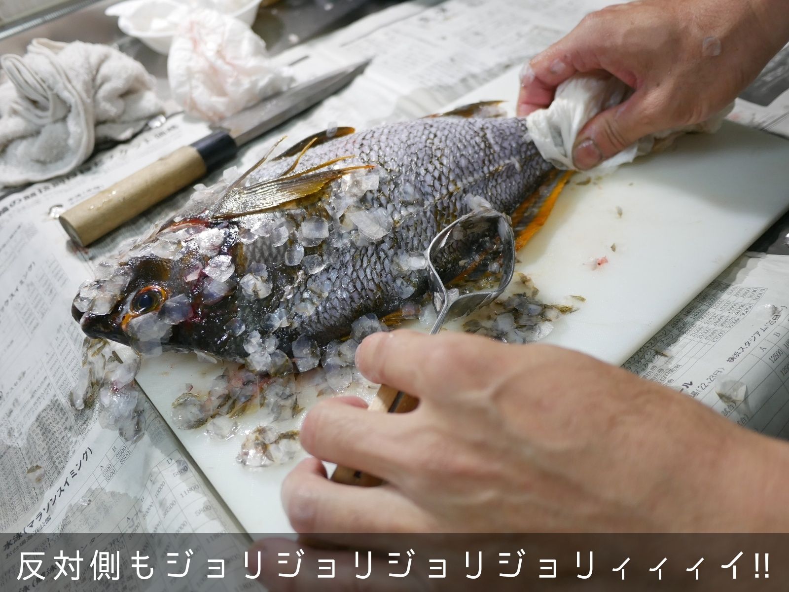 味の向こうにインドがみえる タカノハダイのカレー風味ソテー 若葉マークのお魚クック 楽天ブログ