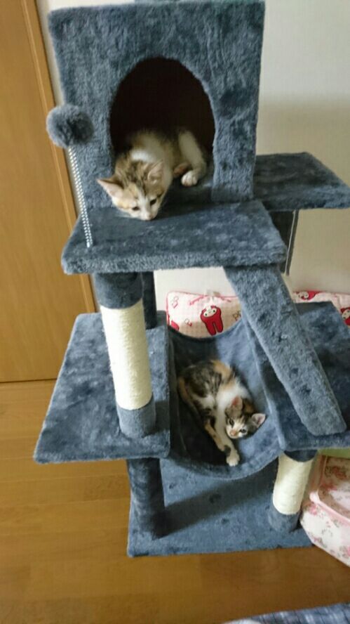rblog-20170712235655-02.jpg