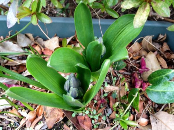 rblog-20140319210354-01.jpg
