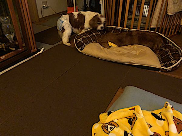 rblog-20180323022948-02.jpg
