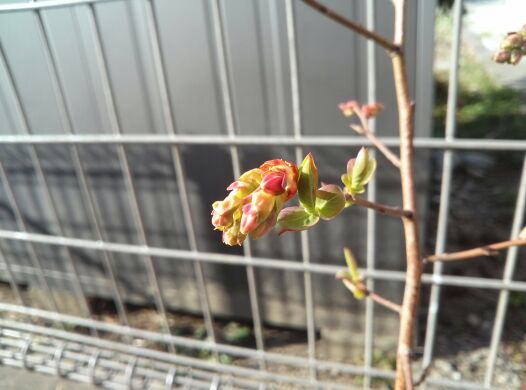 rblog-20140415211950-00.jpg