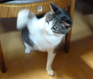 P1050321-ass.jpg