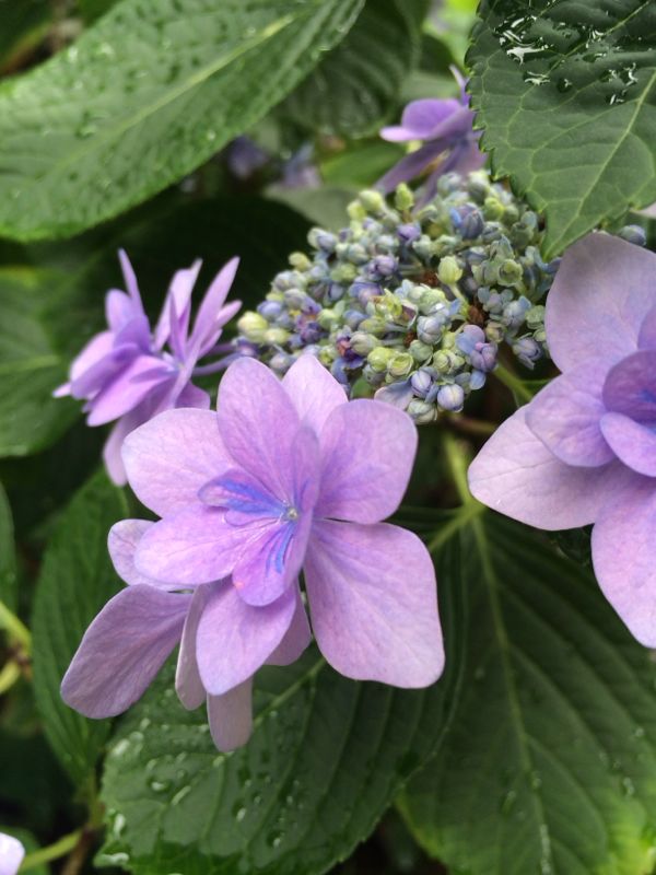 rblog-20140629154638-01.jpg