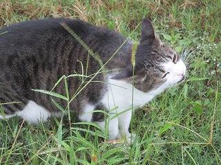 IMG_9426ss.jpg