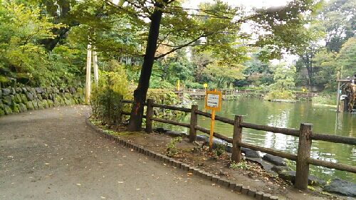 rblog-20151017182313-01.jpg
