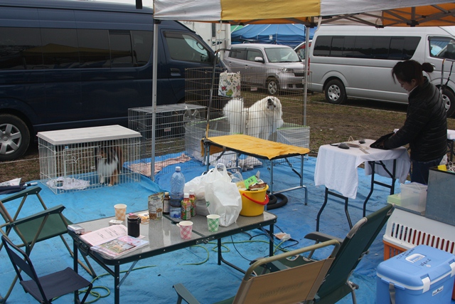 IMG_0796 - コピー.JPG