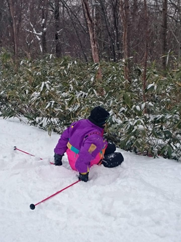 ski2.jpg