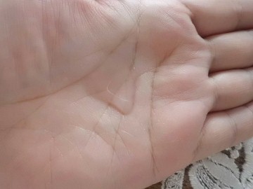 011 (360x270).jpg