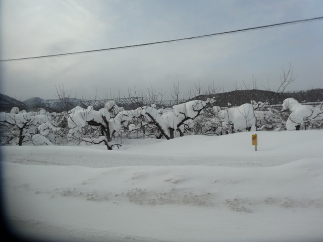 DSC09812_R.JPG