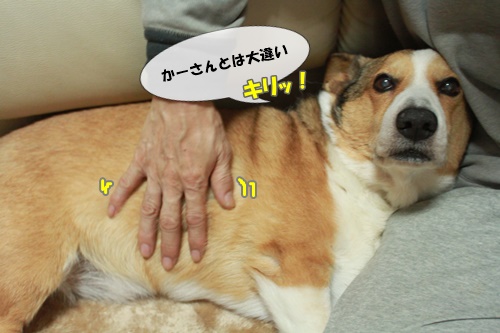 IMG120903.JPG