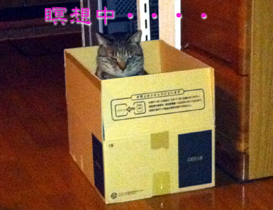 カイザー.jpg