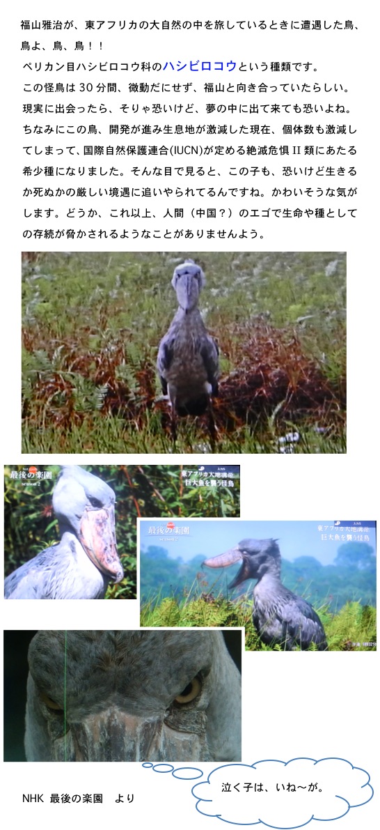 2014.11.01-2.jpg