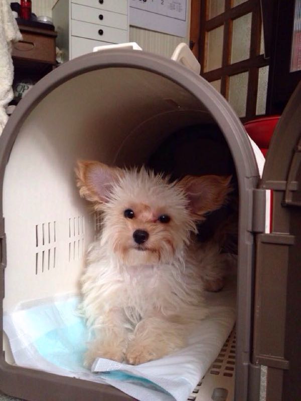 rblog-20151029212932-02.jpg