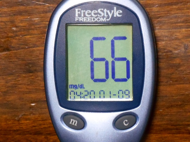 DSCN1495.JPG