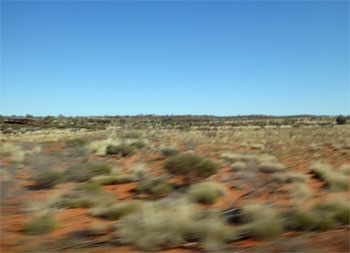 OZ957.jpg