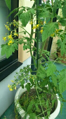 rblog-20170525170701-03.jpg
