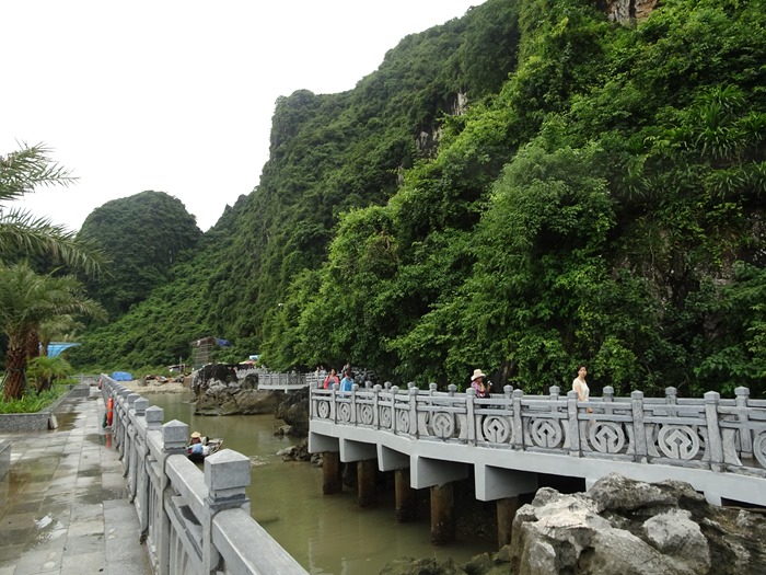 DSC09649_R.JPG