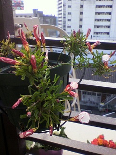 2013011910150000.jpg