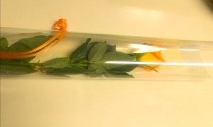 rblog-20131109125229-01.png