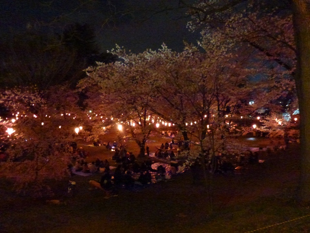 P1000312 - コピー.JPG