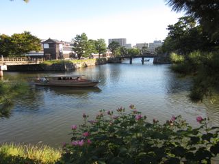 IMG_2785.jpg
